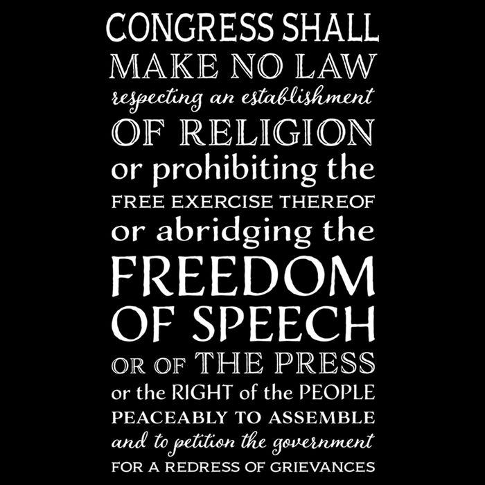 Freedom Of Speech American Bill Of Rights Gift Impact Tech Backpack