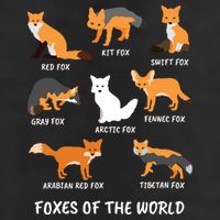Foxes Of The World Fox Lover Adult Drive Performance Visor