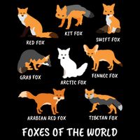 Foxes Of The World Fox Lover Bucket Hat