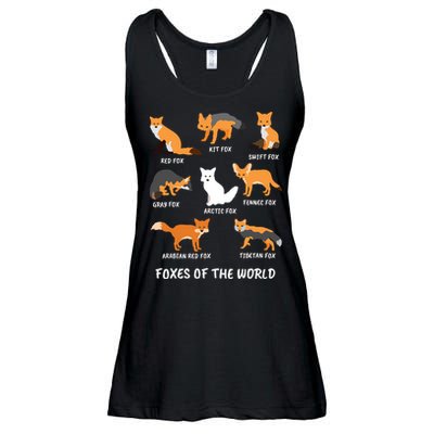 Foxes Of The World Fox Lover Ladies Essential Flowy Tank