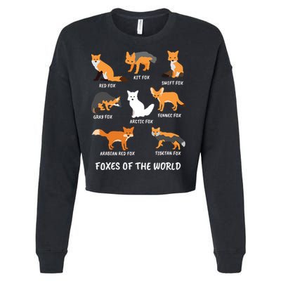Foxes Of The World Fox Lover Cropped Pullover Crew