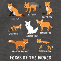 Foxes Of The World Fox Lover Vector Backpack