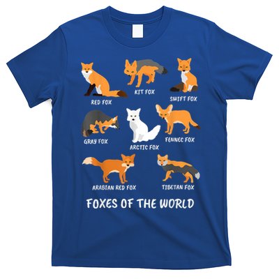 Foxes Of The World Fox Lover Gift T-Shirt