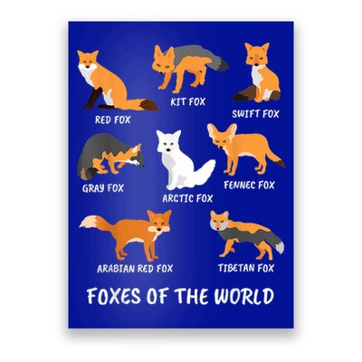 Foxes Of The World Fox Lover Gift Poster