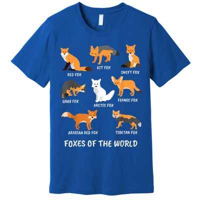 Foxes Of The World Fox Lover Gift Premium T-Shirt
