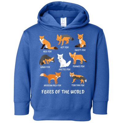 Foxes Of The World Fox Lover Gift Toddler Hoodie