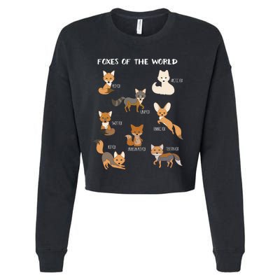 Foxes Of The World Funny Fox Animals Educational Cropped Pullover Crew