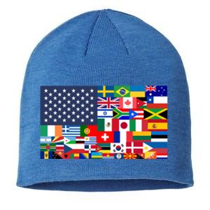 Flags Of The World American Flag We Are All Immigrants Gift Sustainable Beanie