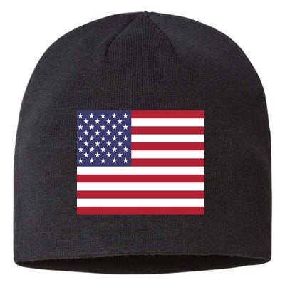 Flag of the United States USA American Sustainable Beanie