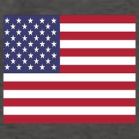 Flag of the United States USA American Vector Backpack