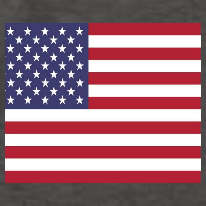Flag of the United States USA American Vector Backpack