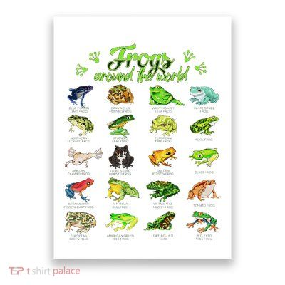 Frogs Of The World Frog Species Poster