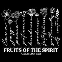 Fruits Of The Spirit Galatians 5:22 Flatbill Hat
