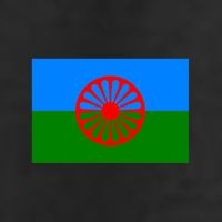 Flag Of The Romani People 7 Panel Mesh Trucker Snapback Hat