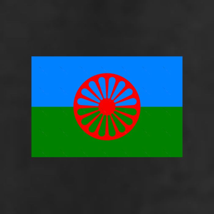 Flag Of The Romani People 7 Panel Mesh Trucker Snapback Hat