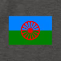 Flag Of The Romani People Vector Backpack