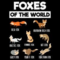 Foxes Of The World Funny Fox Animals Educational Fox Lover Flat Bill Trucker Hat
