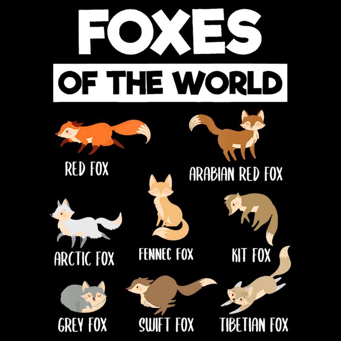 Foxes Of The World Funny Fox Animals Educational Fox Lover Flat Bill Trucker Hat