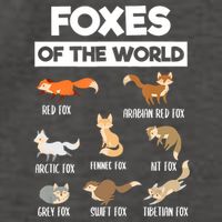 Foxes Of The World Funny Fox Animals Educational Fox Lover Vector Backpack