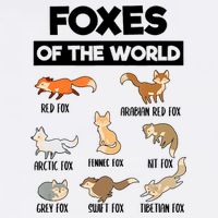 Foxes Of The World Funny Fox Animals Educational Fox Lover Cooling Performance Crew T-Shirt