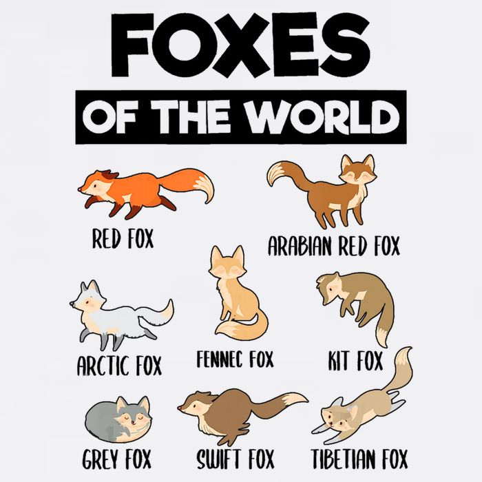 Foxes Of The World Funny Fox Animals Educational Fox Lover Cooling Performance Crew T-Shirt