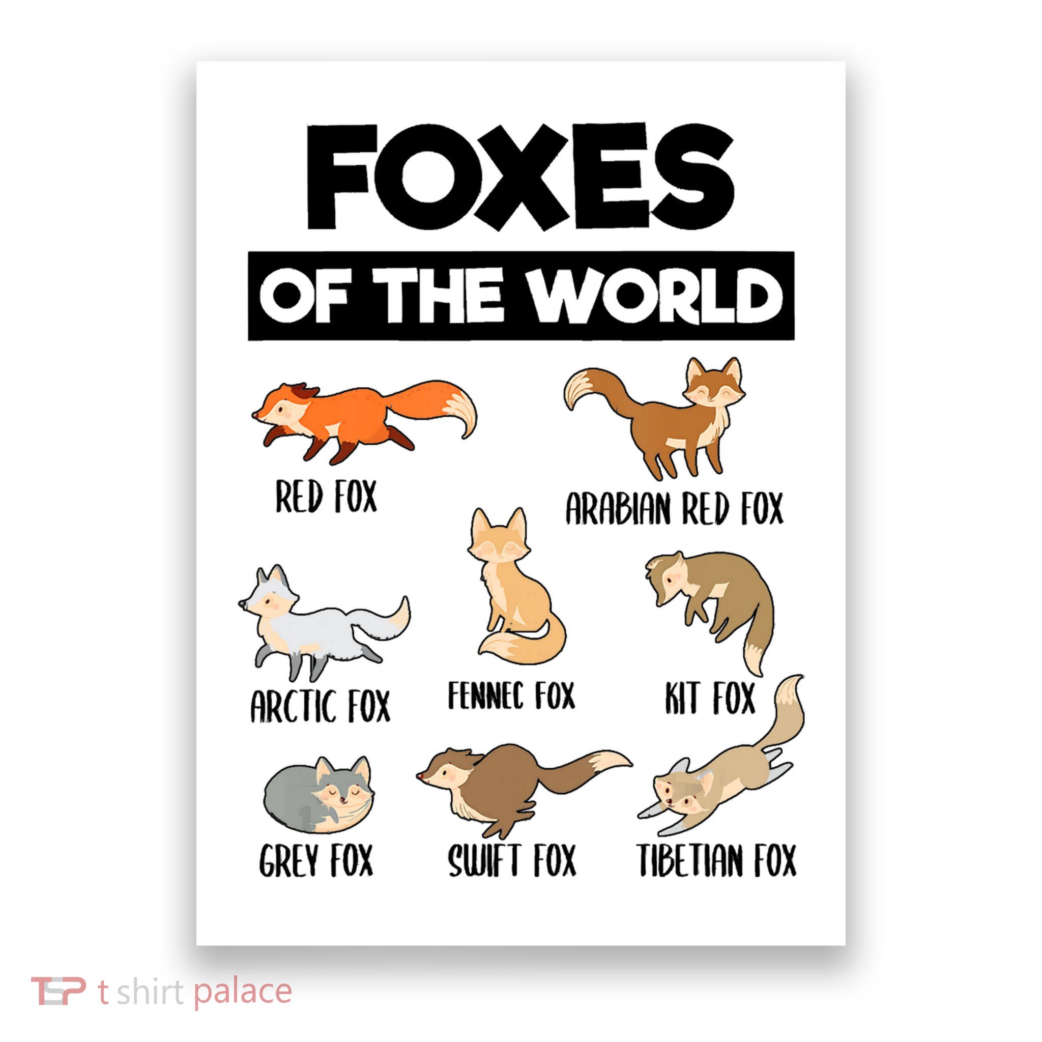 Foxes Of The World Funny Fox Animals Educational Fox Lover Poster