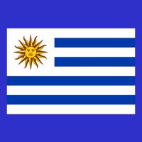 Flag Of Uruguay Proud Patriot Souvenir Patriotic National Gift Long Sleeve Shirt