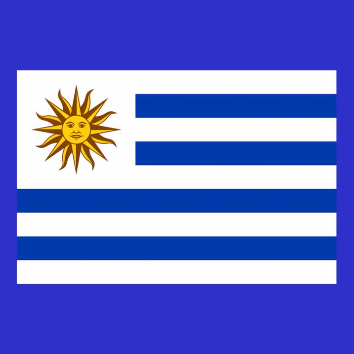 Flag Of Uruguay Proud Patriot Souvenir Patriotic National Gift Women's V-Neck T-Shirt