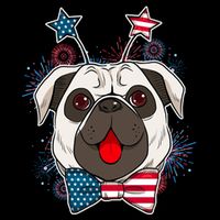 Fourth of July Fireworks Pug Dog City Backpack