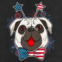 Fourth of July Fireworks Pug Dog Adult Drive Performance Visor