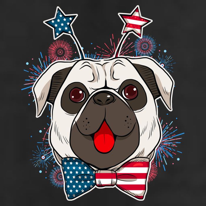 Fourth of July Fireworks Pug Dog Adult Drive Performance Visor
