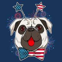 Fourth of July Fireworks Pug Dog Flatbill Hat