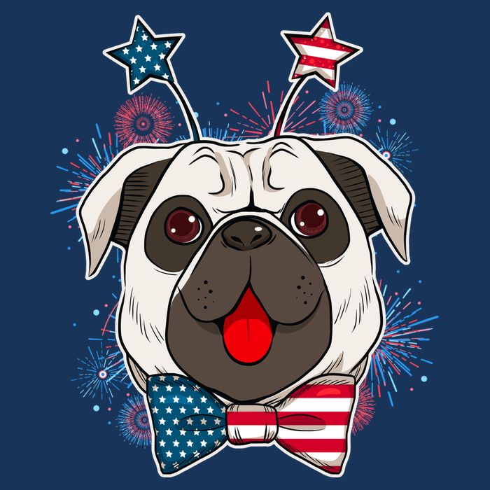 Fourth of July Fireworks Pug Dog Flatbill Hat