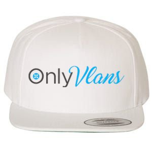 Funny Only Vlans Network Engineering Wool Snapback Cap