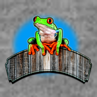 Frog On Wood Panel Womens T-Shirt