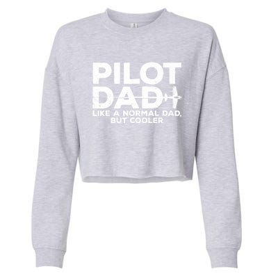 Funny Pilot Art For Dad Aviation Airplane Aircraft Pilot Cropped Pullover Crew