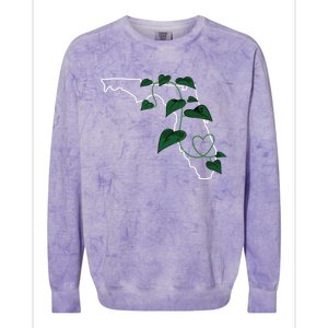 Florida Pothos Aroid Colorblast Crewneck Sweatshirt