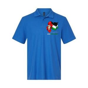 Free Palestine Arabic Palestine Flag Softstyle Adult Sport Polo