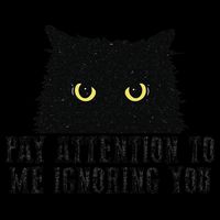 Funny Pay Attention To Me Ignoring You Black Cats Lovers Mom Tall T-Shirt