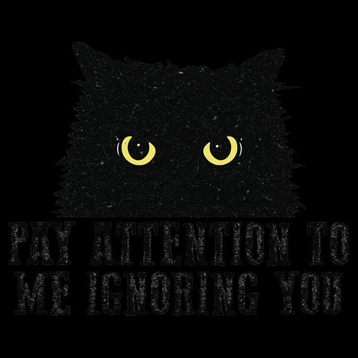 Funny Pay Attention To Me Ignoring You Black Cats Lovers Mom Tall T-Shirt