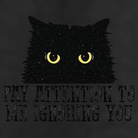 Funny Pay Attention To Me Ignoring You Black Cats Lovers Mom Beanie