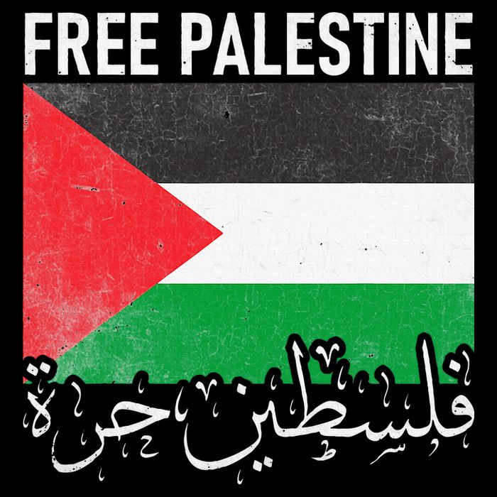Free Palestine Arabic Palestine Gaza Jerusalem Support 16 in Basic Backpack