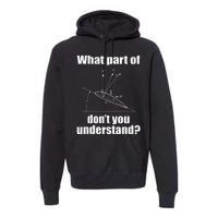 Funny Pilot Art For Aviation Lover Airplane Pilots Premium Hoodie