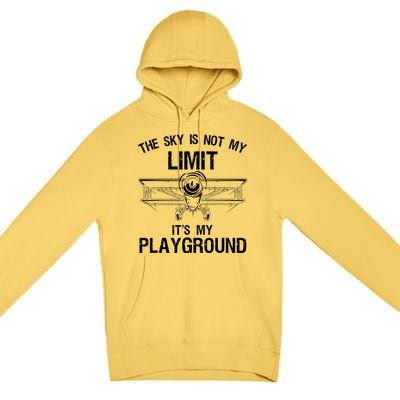 Funny Pilot Art For Men Women Airplane Pilot Aviation Premium Pullover Hoodie