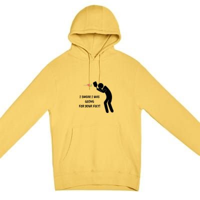 Fun Pickleball, Aiming At Your Feet, Pickleball For Life Premium Pullover Hoodie