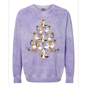 Funny Pelican Birds Lover Xmas Gift Pelican Christmas Tree Colorblast Crewneck Sweatshirt