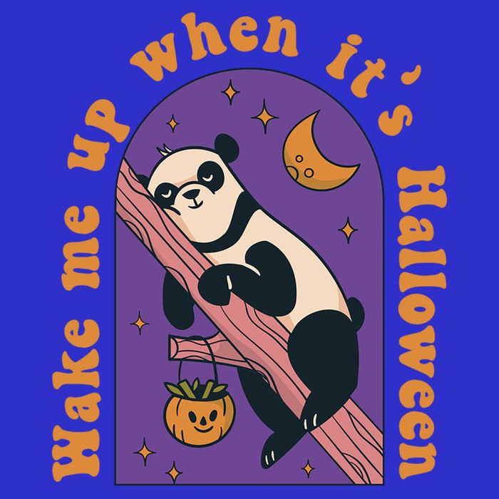 Funny Panda Bear Sleeping Wake Me Up When Its Halloween Meaningful Gift Poster