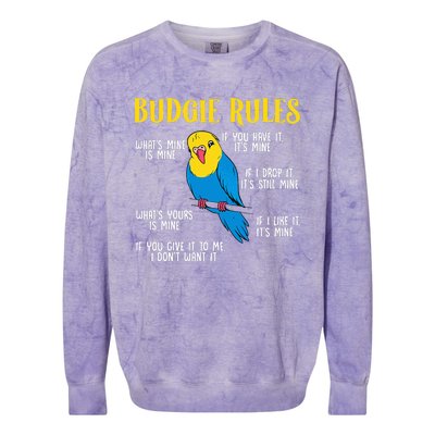 funny Parakeet Budgie Rules Bird Budgerigar Colorblast Crewneck Sweatshirt