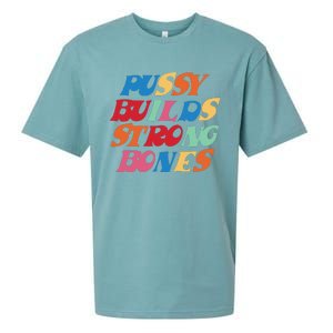 Funny Pussy Builds Strong Bones Shirt PBSB Colored Sueded Cloud Jersey T-Shirt