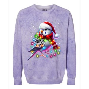 Funny Parakeet Christmas Tree Lights Xmas Parrot Lover Colorblast Crewneck Sweatshirt